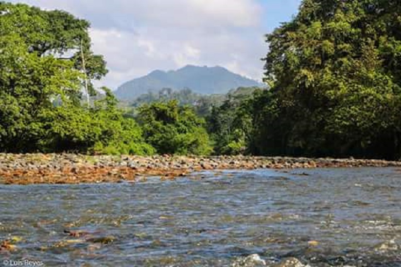 SIUNA1